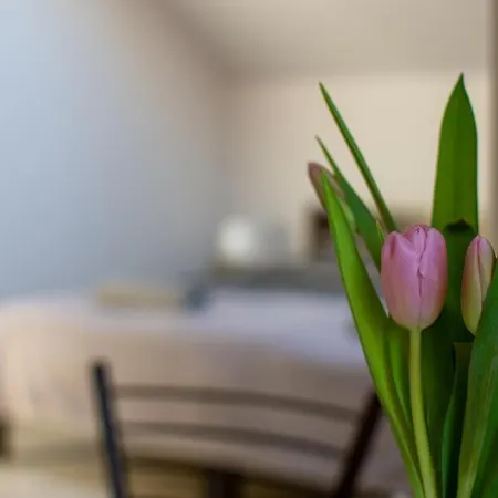 Sol * Grzybowo (West Pomeranian)