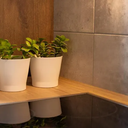 Ubytování v soukromí Sol *