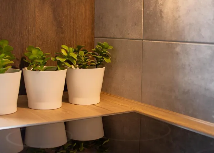 Homestay szállás Sol *